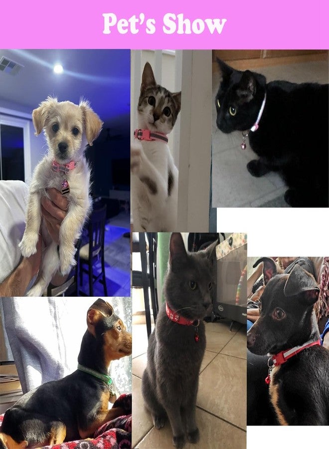 Weimostar Blue XS Cat Collar with Bell, 2-Pack Puppy Collars Reflective Dog Collar Nylon Soft Adjustable Buckle for XXS XSmall Extra Small Tiny Boy Girl Pets Female Male Kitten Yorkie Teacup Chihuahua X-Small - Image 2